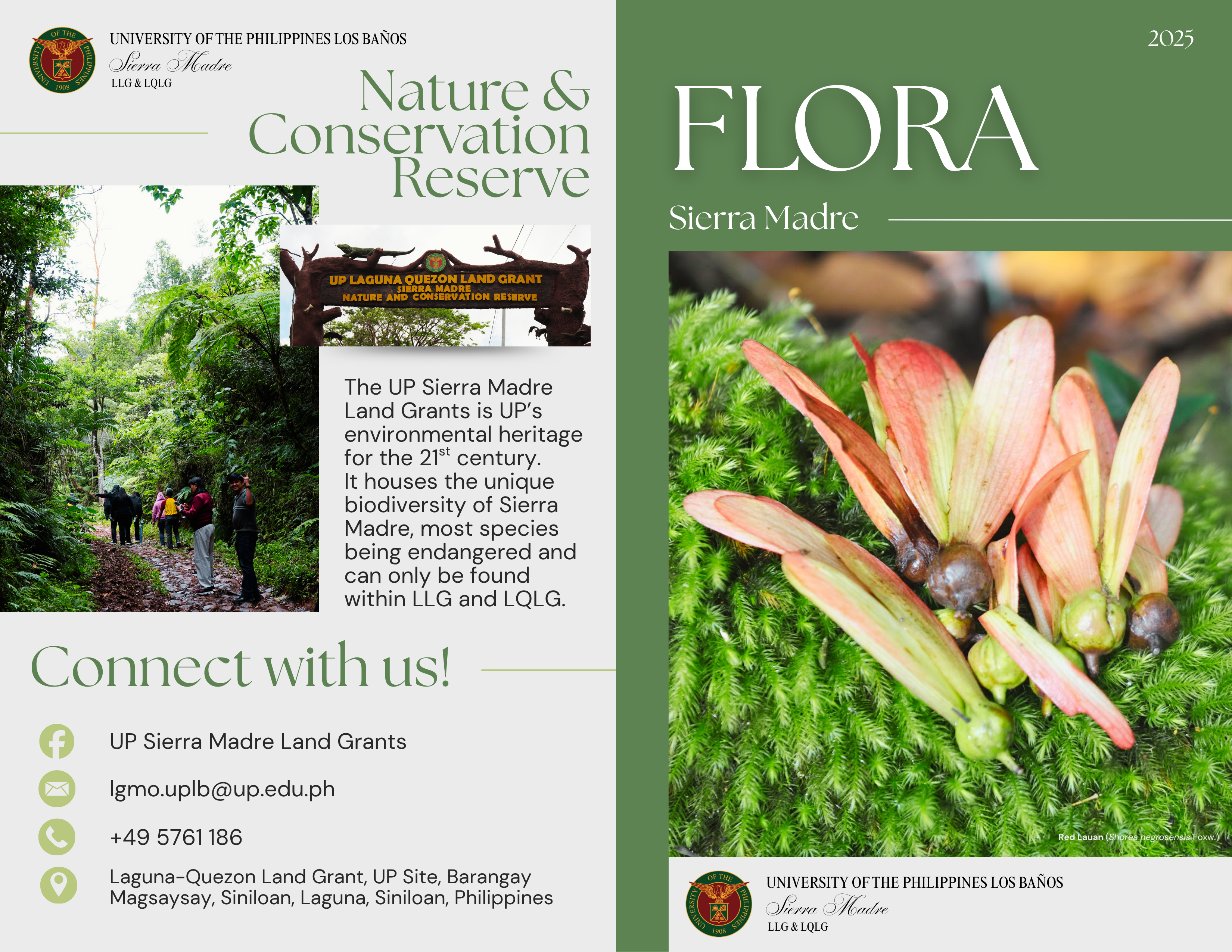 First set of pages of the brochure